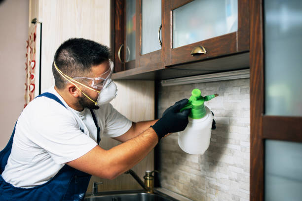 Best Mosquito Control Services  in Twin Lakes, NM