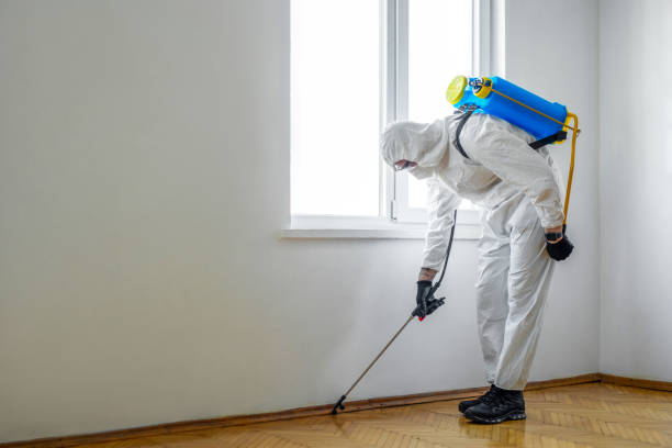 Best Residential Pest Control  in Twin Lakes, NM