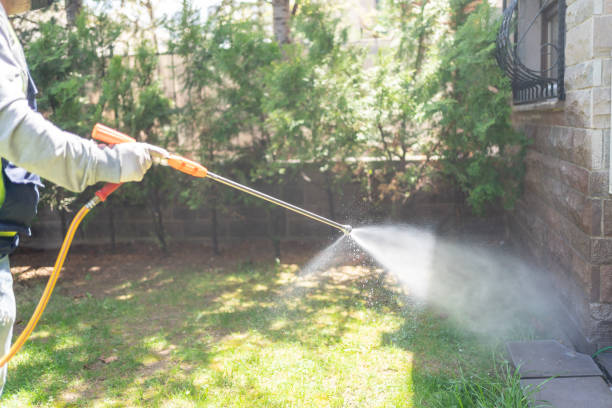 Best Best Pest Control Companies  in Twin Lakes, NM
