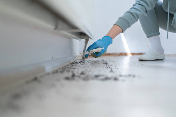 Best Pest Control for Restaurants  in Twin Lakes, NM